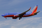 Southwest Airlines Boeing 737-7H4 (N425LV) at  Los Angeles - International, United States
