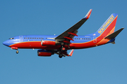 Southwest Airlines Boeing 737-7H4 (N425LV) at  Tampa - International, United States