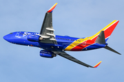 Southwest Airlines Boeing 737-7H4 (N425LV) at  Tampa - International, United States