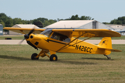 (Private) CubCrafters CC11-160 Carbon Cub SS (N426CC) at  Oshkosh - Wittman Regional, United States