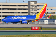 Southwest Airlines Boeing 737-7H4 (N426WN) at  Tampa - International, United States