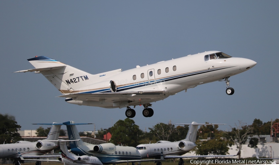 (Private) Raytheon Hawker 800XP (N427TM) | Photo 303735