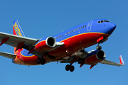 Southwest Airlines Boeing 737-7H4 (N427WN) at  Dallas - Love Field, United States