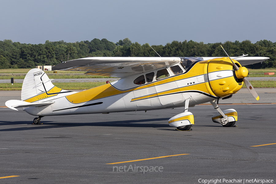 (Private) Cessna 195 (N4310V) | Photo 401737