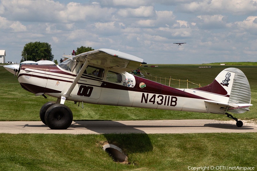 (Private) Cessna 170B (N4311B) | Photo 636510