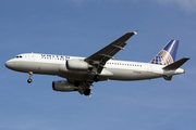 United Airlines Airbus A320-232 (N432UA) at  Tampa - International, United States