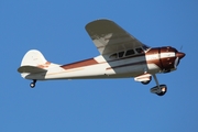 (Private) Cessna 195 (N4331N) at  Oshkosh - Wittman Regional, United States