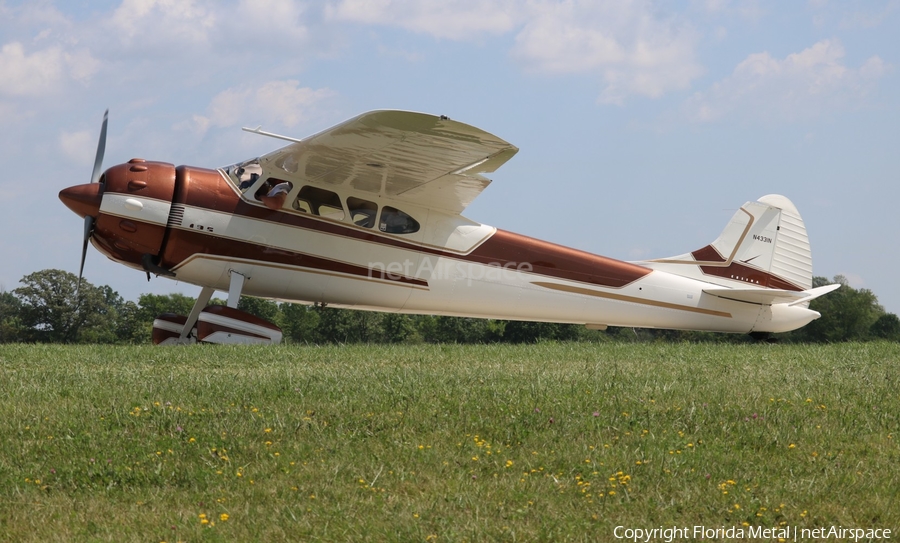 (Private) Cessna 195 (N4331N) | Photo 352888