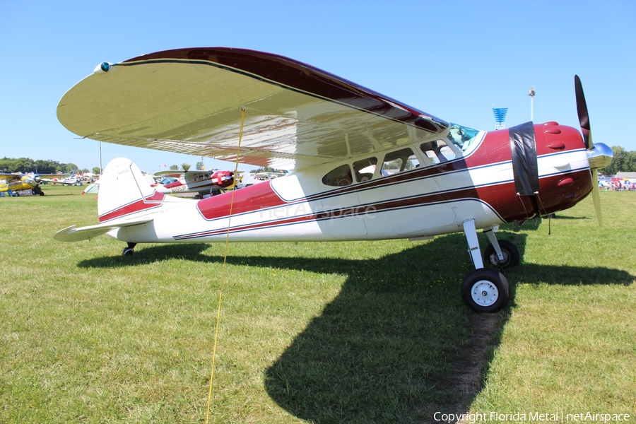 (Private) Cessna 195 (N4358V) | Photo 336440
