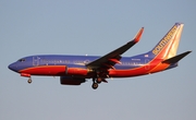 Southwest Airlines Boeing 737-7H4 (N435WN) at  Detroit - Metropolitan Wayne County, United States