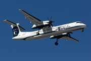 Horizon Air Bombardier DHC-8-402Q (N436QX) at  Seattle/Tacoma - International, United States