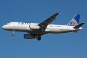 United Airlines Airbus A320-232 (N436UA) at  Tampa - International, United States