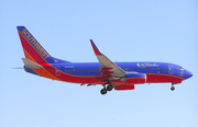 Southwest Airlines Boeing 737-7H4 (N437WN) at  Albuquerque - International, United States