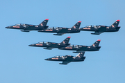 Patriots Jet Team Aero L-39C Albatros (N439DH) at  San Francisco - International, United States