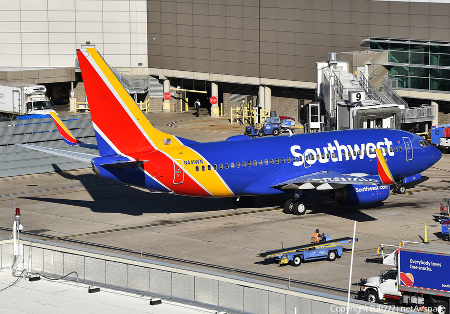 Southwest Airlines Boeing 737-7H4 (N441WN) | Photo 276489