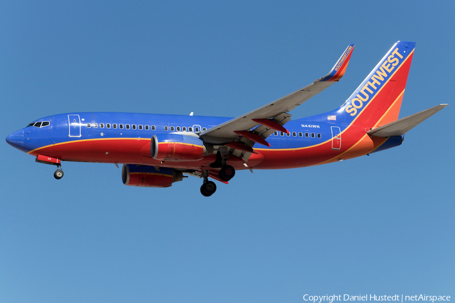 Southwest Airlines Boeing 737-7H4 (N441WN) | Photo 480264
