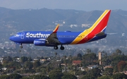 Southwest Airlines Boeing 737-7H4 (N441WN) at  Los Angeles - International, United States