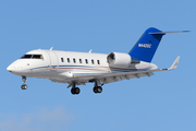 Northeastern Aviation Corp. Bombardier CL-600-2B16 Challenger 650 (N442QC) at  Windsor Locks - Bradley International, United States