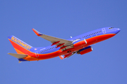 Southwest Airlines Boeing 737-7H4 (N442WN) at  Albuquerque - International, United States
