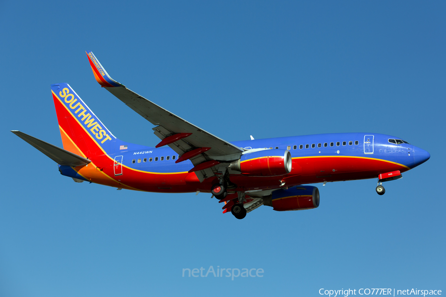 Southwest Airlines Boeing 737-7H4 (N442WN) | Photo 92946