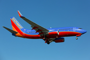 Southwest Airlines Boeing 737-7H4 (N442WN) at  Dallas - Love Field, United States
