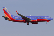 Southwest Airlines Boeing 737-7H4 (N442WN) at  Houston - Willam P. Hobby, United States
