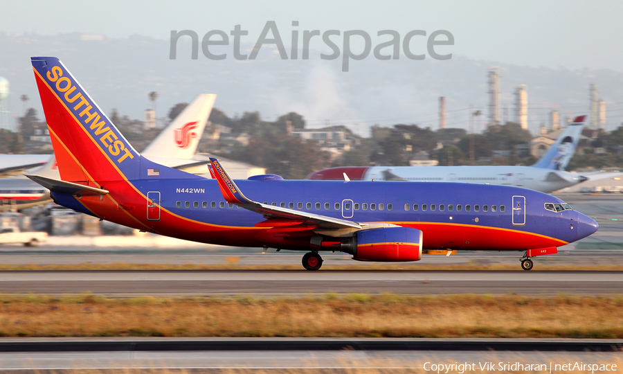 Southwest Airlines Boeing 737-7H4 (N442WN) | Photo 107401