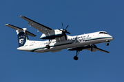 Alaska Airlines (Horizon) Bombardier DHC-8-402Q (N444QX) at  Seattle/Tacoma - International, United States