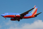 Southwest Airlines Boeing 737-7H4 (N444WN) at  Tampa - International, United States
