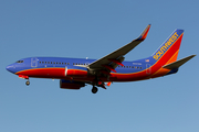 Southwest Airlines Boeing 737-7H4 (N447WN) at  Houston - Willam P. Hobby, United States