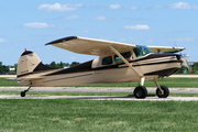 (Private) Cessna 170B (N4494B) at  Oshkosh - Wittman Regional, United States