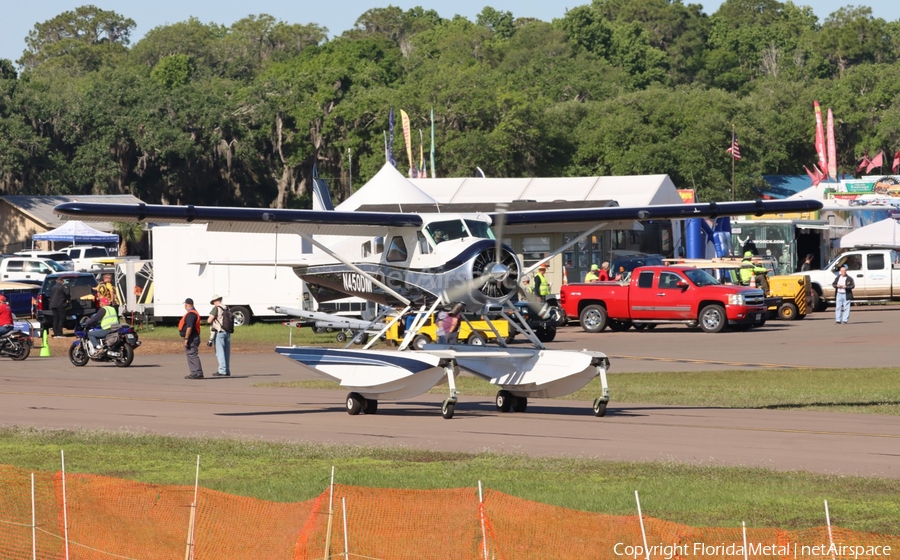 (Private) de Havilland Canada DHC-2 Mk I Beaver (N450DM) | Photo 612416