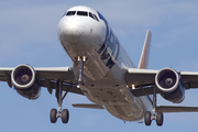 Ted Airbus A320-232 (N451UA) at  Chicago - O'Hare International, United States