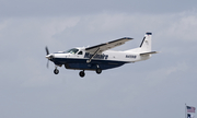 Martinaire Cessna 208B Super Cargomaster (N4591B) at  Dallas - Addison, United States