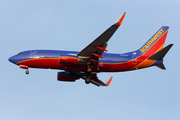 Southwest Airlines Boeing 737-7H4 (N464WN) at  Dallas - Love Field, United States
