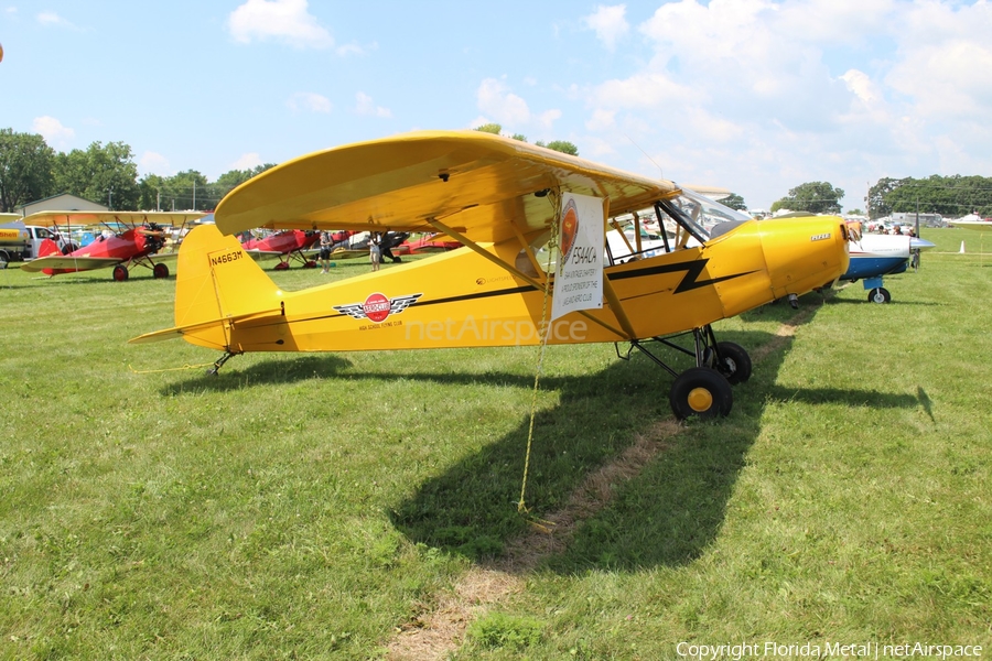 (Private) Piper PA-11 Cub Special (N4663M) | Photo 352907