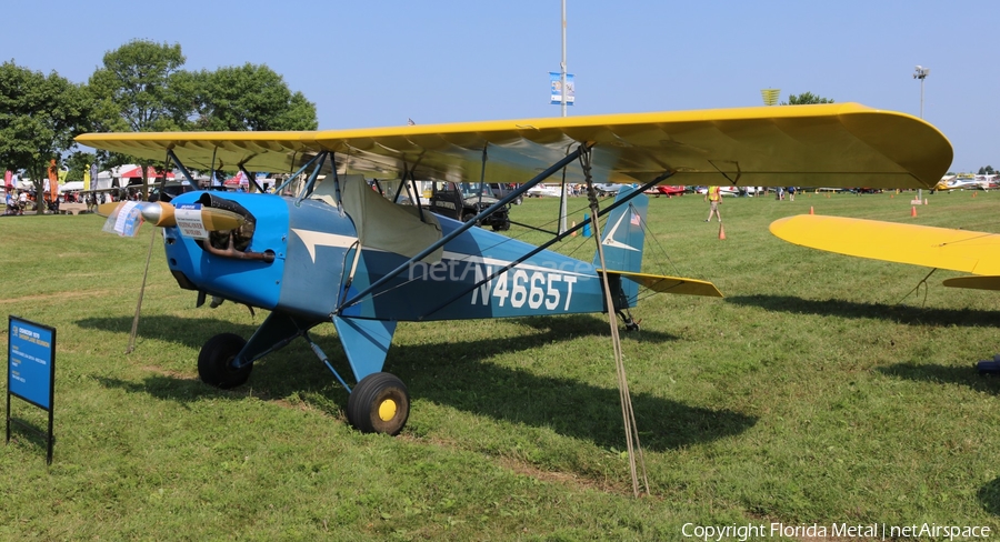 (Private) Corben Baby Ace Model D (N4665T) | Photo 352908