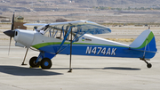 (Private) CubCrafters CC18-180 Top Cub (N474AK) at  Las Vegas - Nellis AFB, United States