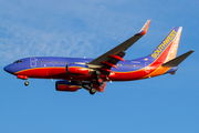 Southwest Airlines Boeing 737-7H4 (N482WN) at  Tampa - International, United States
