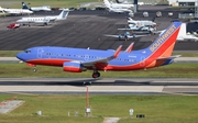 Southwest Airlines Boeing 737-7H4 (N483WN) at  Tampa - International, United States