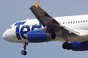 Ted Airbus A320-232 (N484UA) at  Chicago - O'Hare International, United States