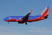 Southwest Airlines Boeing 737-7H4 (N484WN) at  Dallas - Love Field, United States