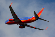 Southwest Airlines Boeing 737-7H4 (N484WN) at  Washington - Ronald Reagan National, United States
