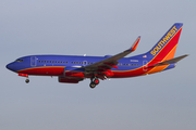Southwest Airlines Boeing 737-7H4 (N491WN) at  Las Vegas - Harry Reid International, United States