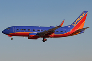Southwest Airlines Boeing 737-7H4 (N495WN) at  Las Vegas - Harry Reid International, United States