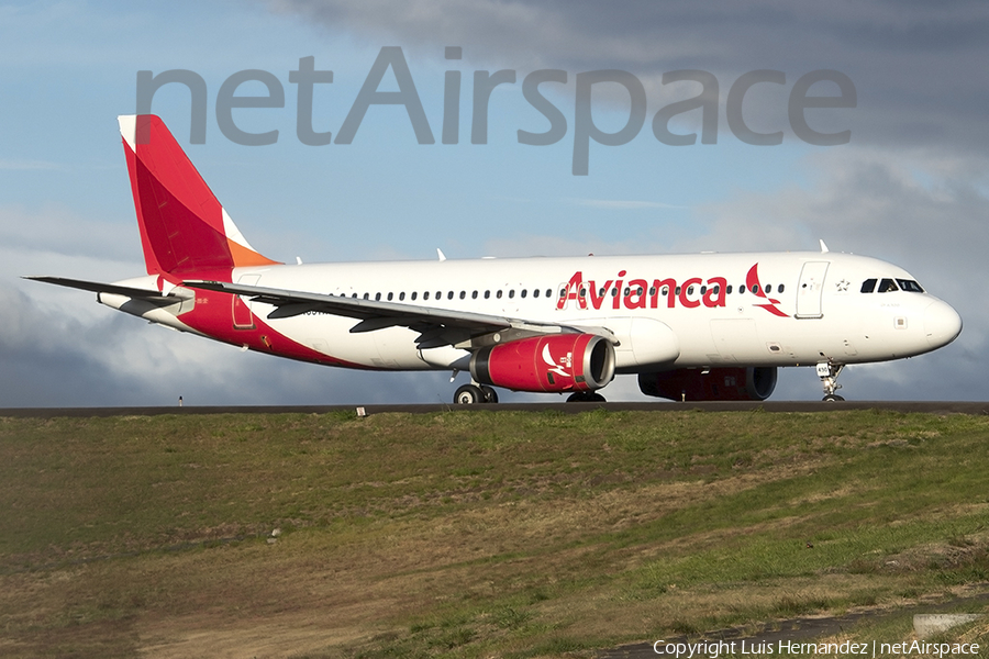 Avianca El Salvador Airbus A320-233 (N499TA) | Photo 452084