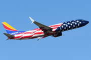 Southwest Airlines Boeing 737-8H4 (N500WR) at  Baltimore - Washington International, United States