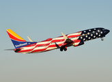 Southwest Airlines Boeing 737-8H4 (N500WR) at  Dallas - Love Field, United States