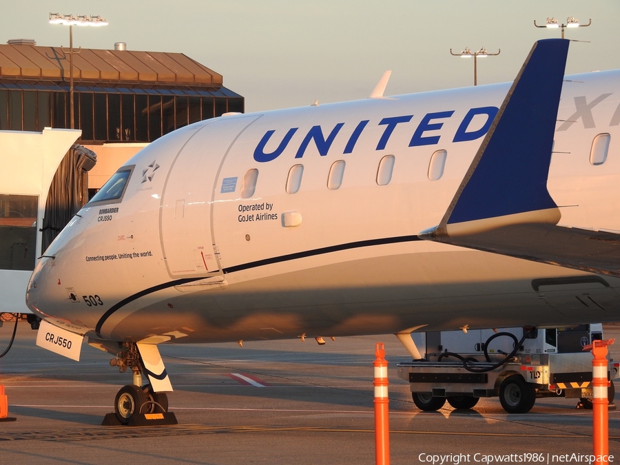 United Express (GoJet Airlines) Bombardier CRJ-550 (N503GJ) | Photo 387762