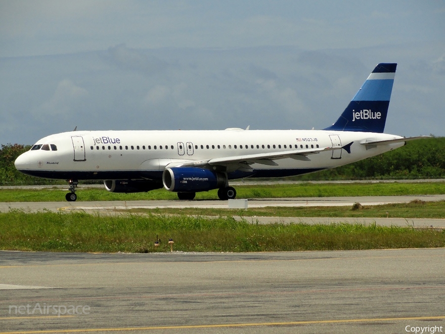 JetBlue Airways Airbus A320-232 (N503JB) | Photo 21098
